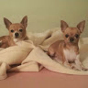 Meet your Posher, Candace